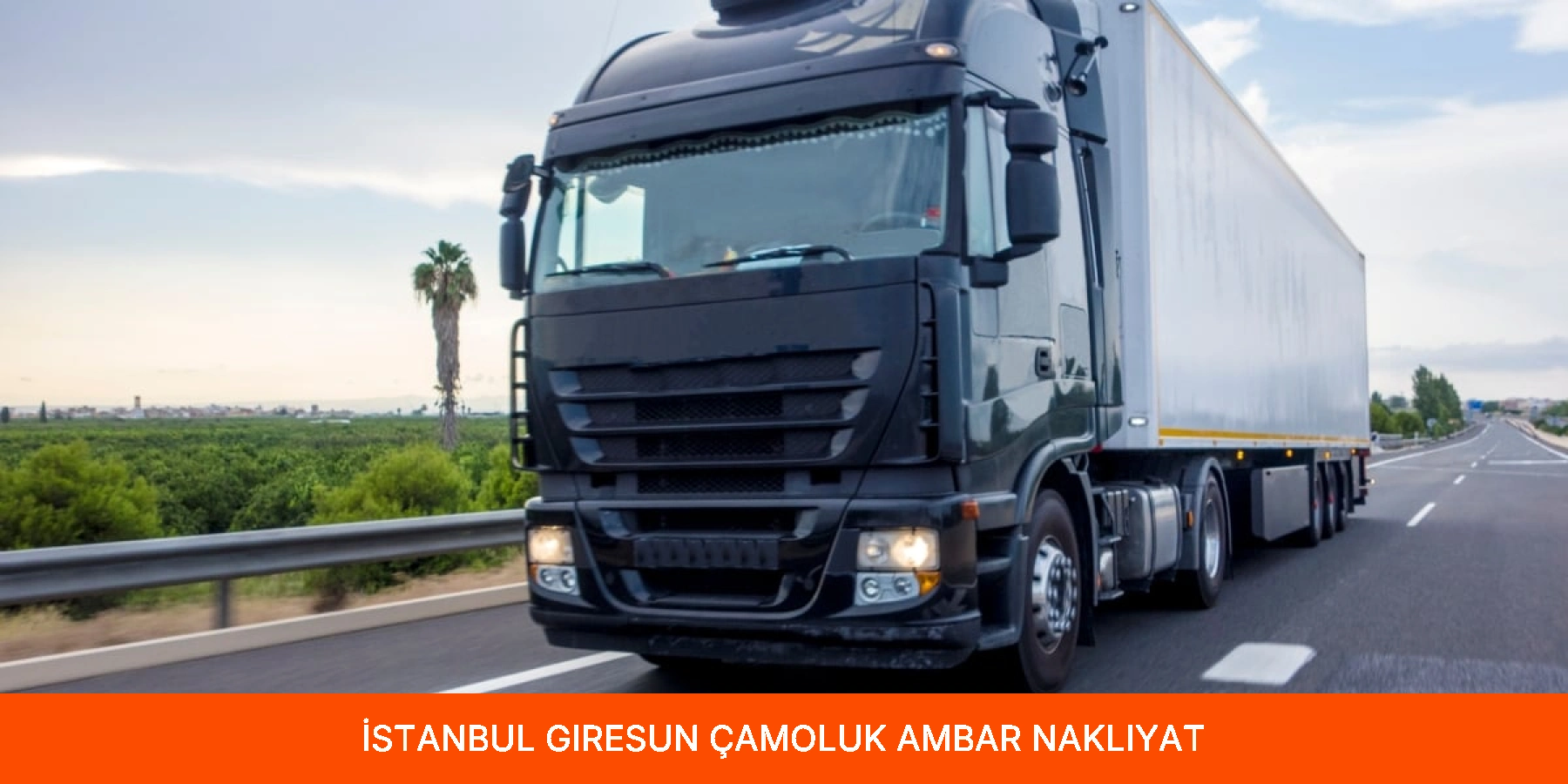 Çamoluk Ambar