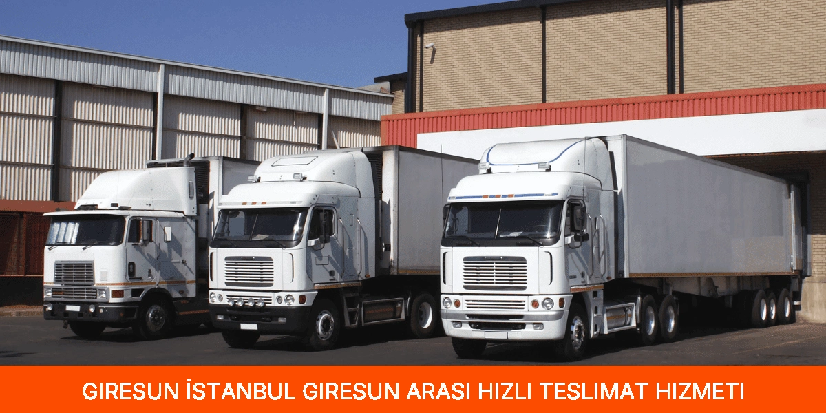 İstanbul Giresun Arası Hızlı Teslimat Hizmeti