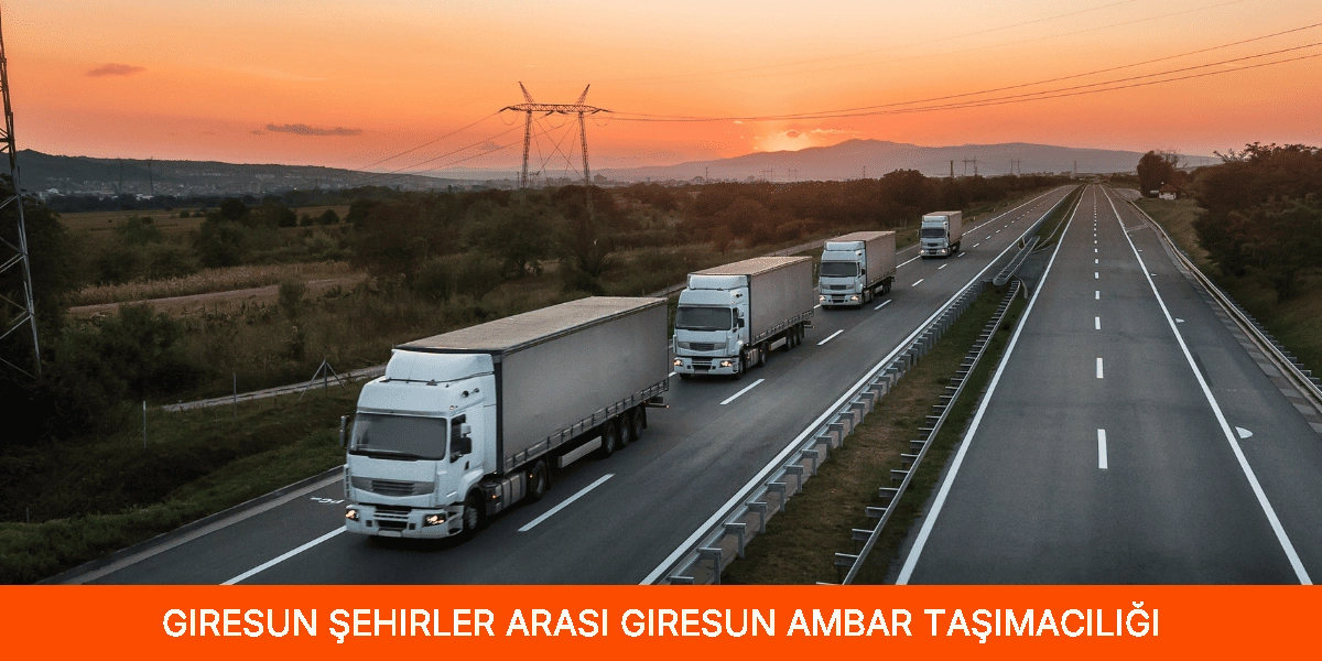 Şehirler Arası Giresun Ambar Taşımacılığı